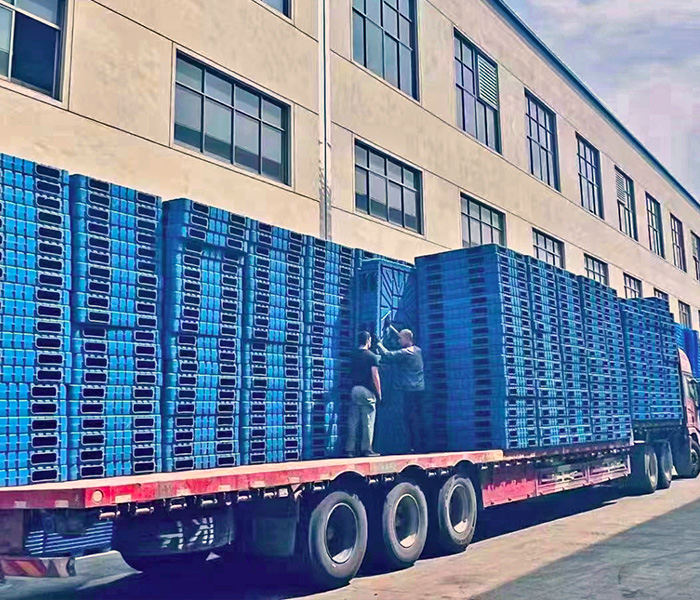 吹塑托盤選購指南：單面VS雙面，如何做出*優(yōu)選擇？